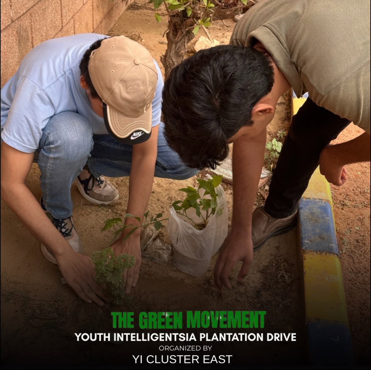 Plantation Drive photo 3