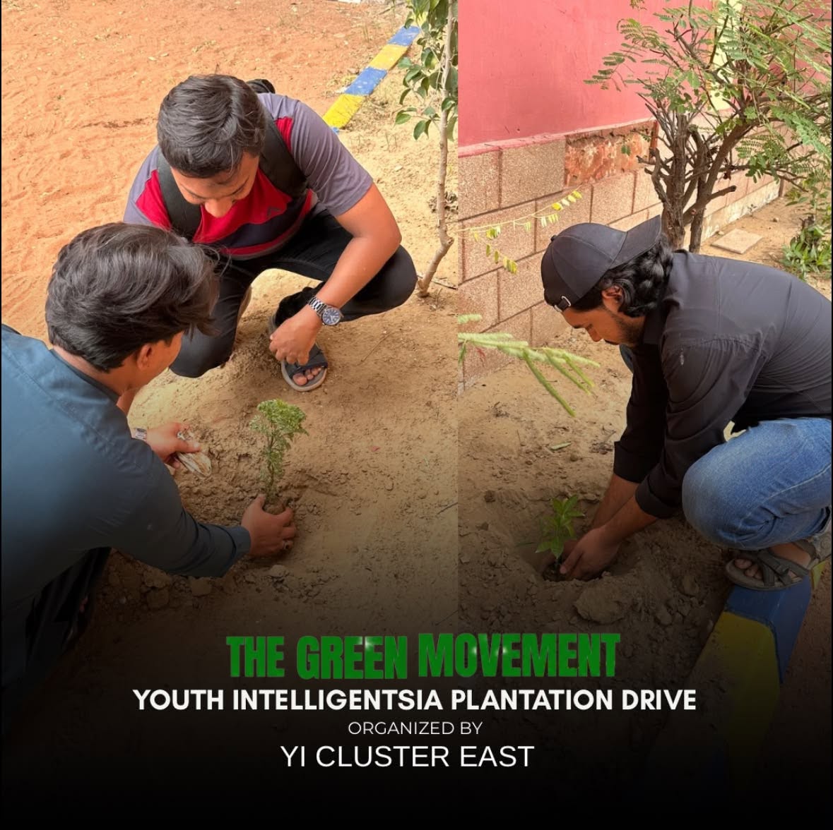 Plantation Drive photo 4